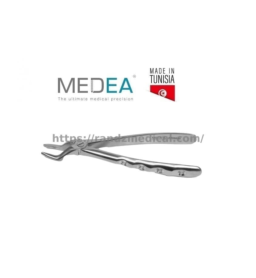 DAVIER RACINE MOLAIRE SUP. ADULTE (AD080-51)